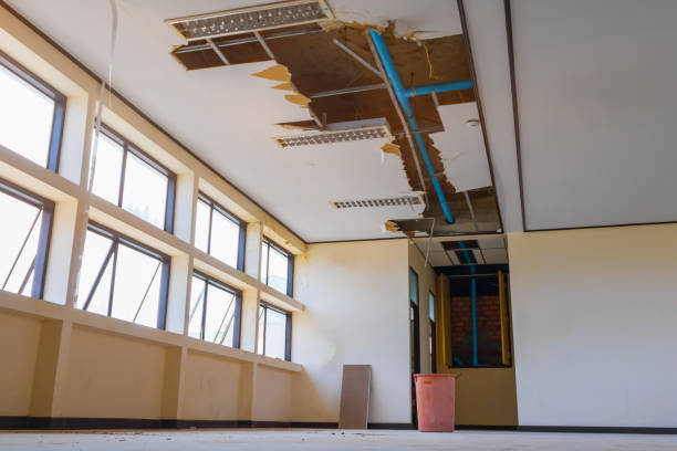 Best Water damage cleanup near me  in Rochester, MN