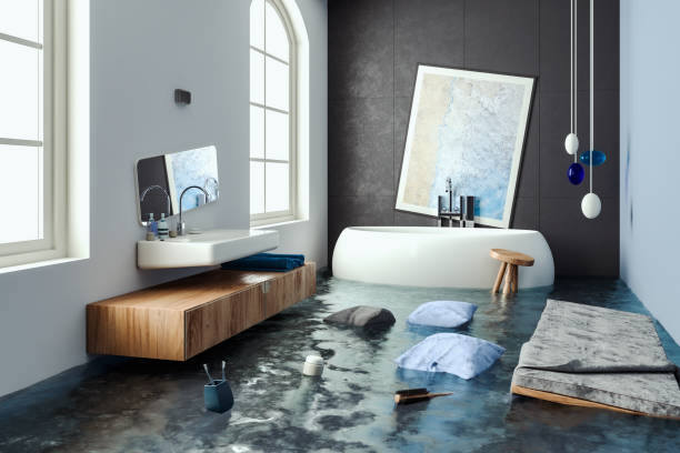 Best Ceiling water damage repair  in Rochester, MN