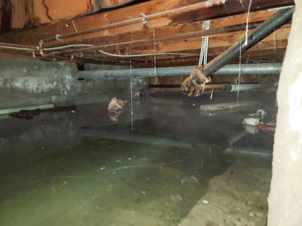 Best Local water damage restoration  in Rochester, MN