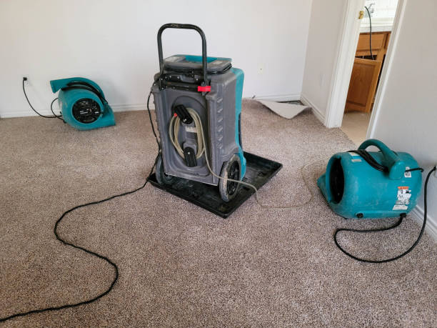 Best Flooded house restoration  in Rochester, MN