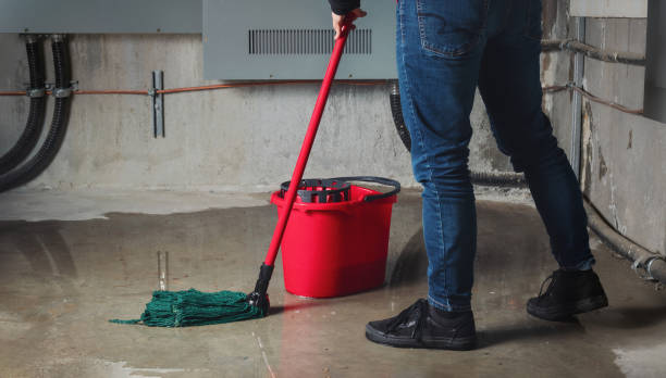 Best Water damage cleanup near me  in Rochester, MN