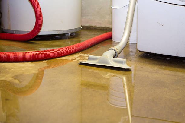 Best 24/7 water damage repair  in Rochester, MN