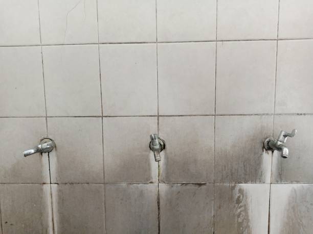 Best Flooded house restoration  in Rochester, MN
