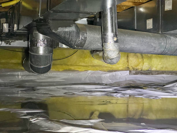 Best Water damage contractors near me  in Rochester, MN