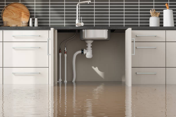 Best 24-hour water damage restoration  in Rochester, MN